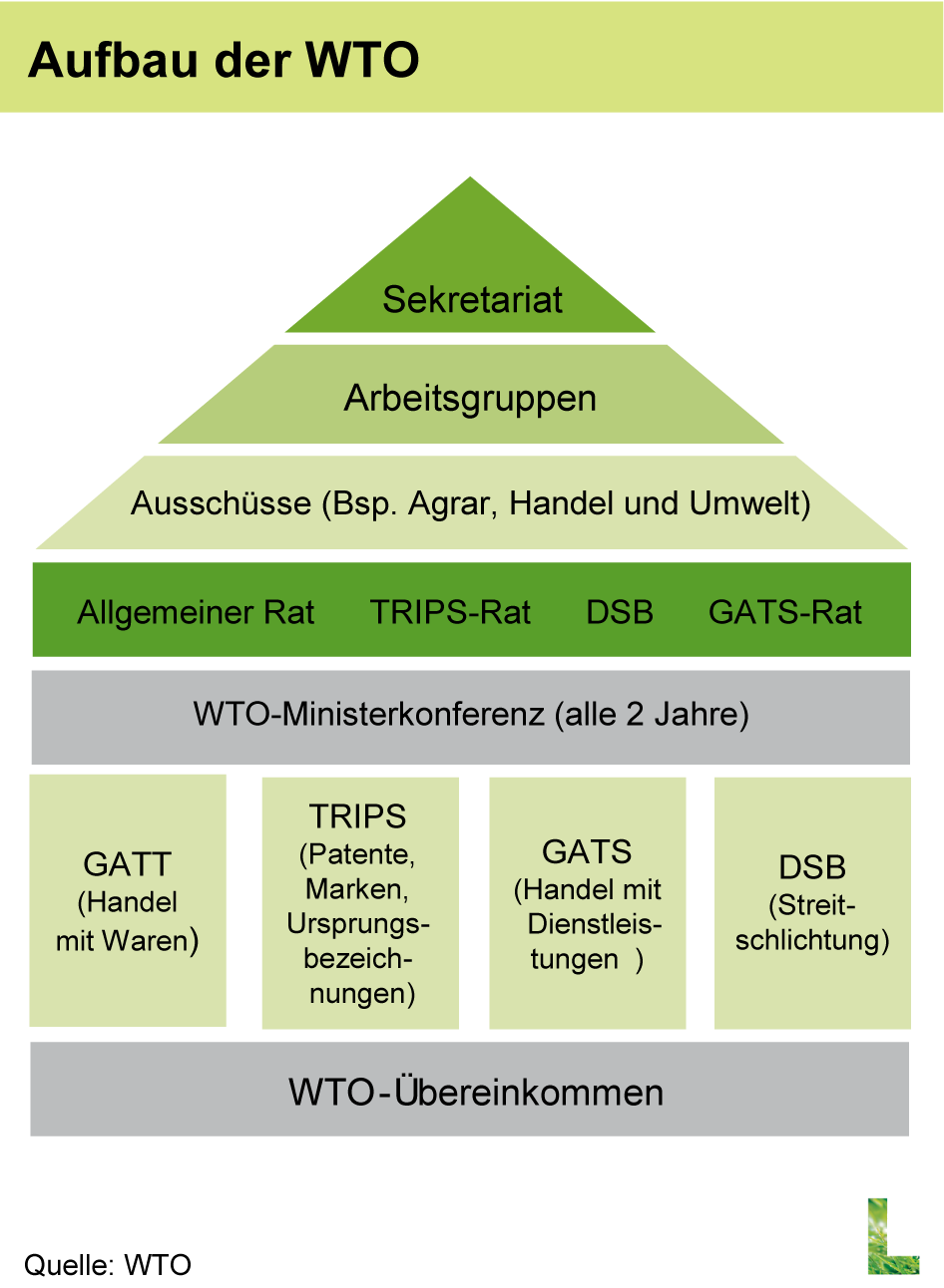 download schneiden